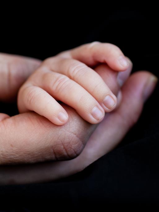 Eine grosse Hand hält eine Kinderhand. Eine grosse Hand hält eine Kinderhand.