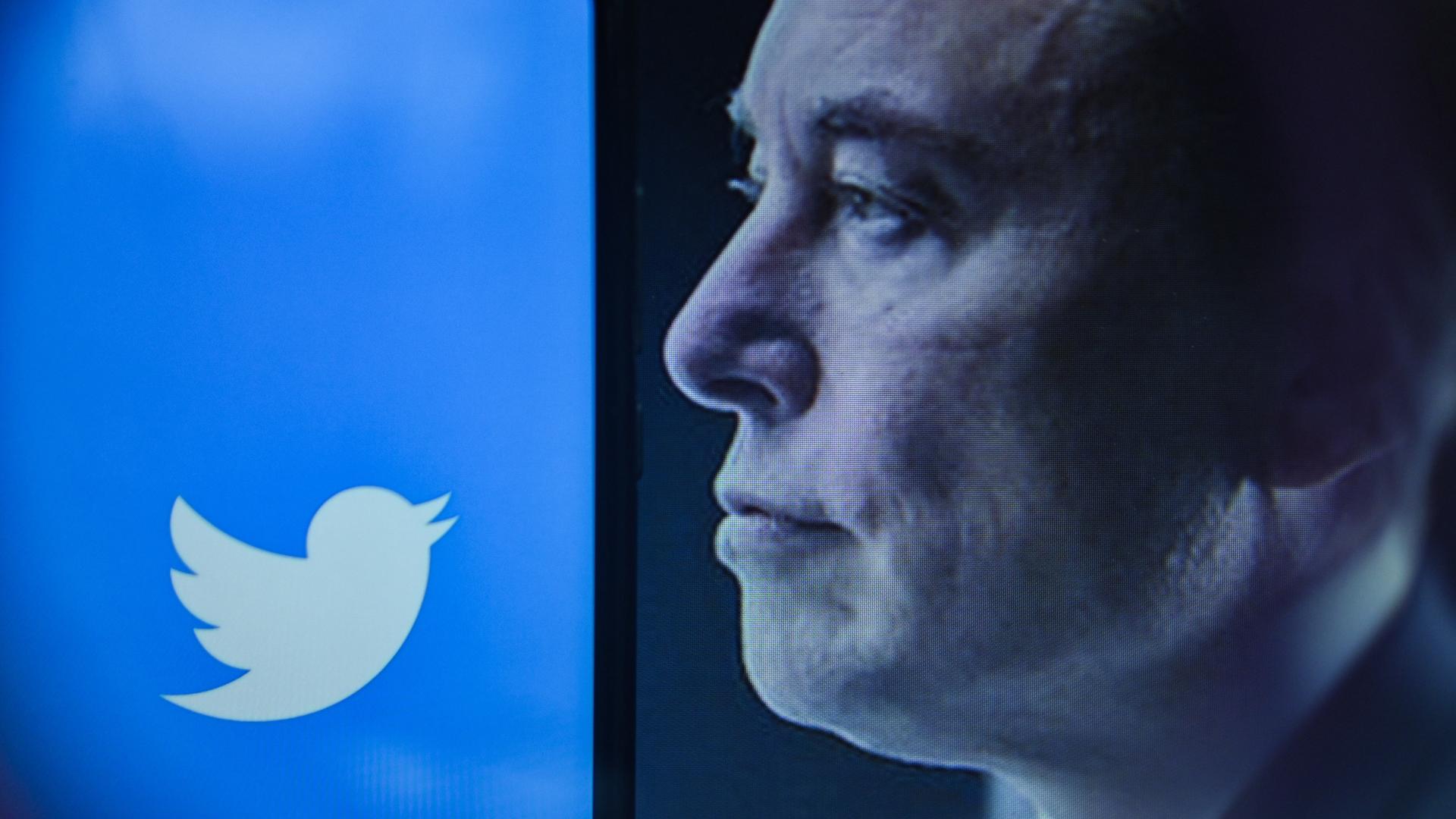 Rechts das Gesicht von Elon Musk im Profil, links das Vogellogo des Kurznachrichtendienstes Twitter Rechts das Gesicht von Elon Musk im Profil, links das Vogellogo des Kurznachrichtendienstes Twitter
