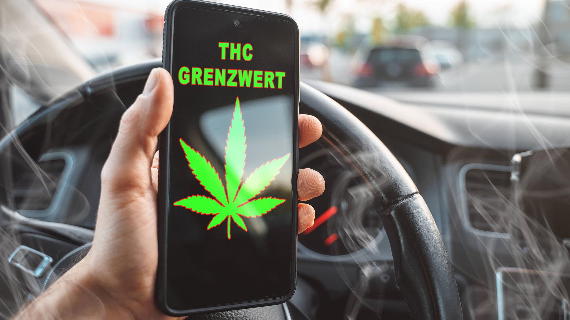 Eine Hand hält in einem Auto ein Handy, auf dem in grün eine Cannabis-Pflanze und die Worte THC Grenzwert zu lesen sind. Dahinter sieht man ein Steuer und Qualm.