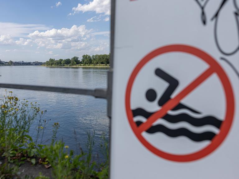 Badeverbotsschild vor dem Rheinufer in Bonn. Im Hintergrunf sieht man den Fluss.