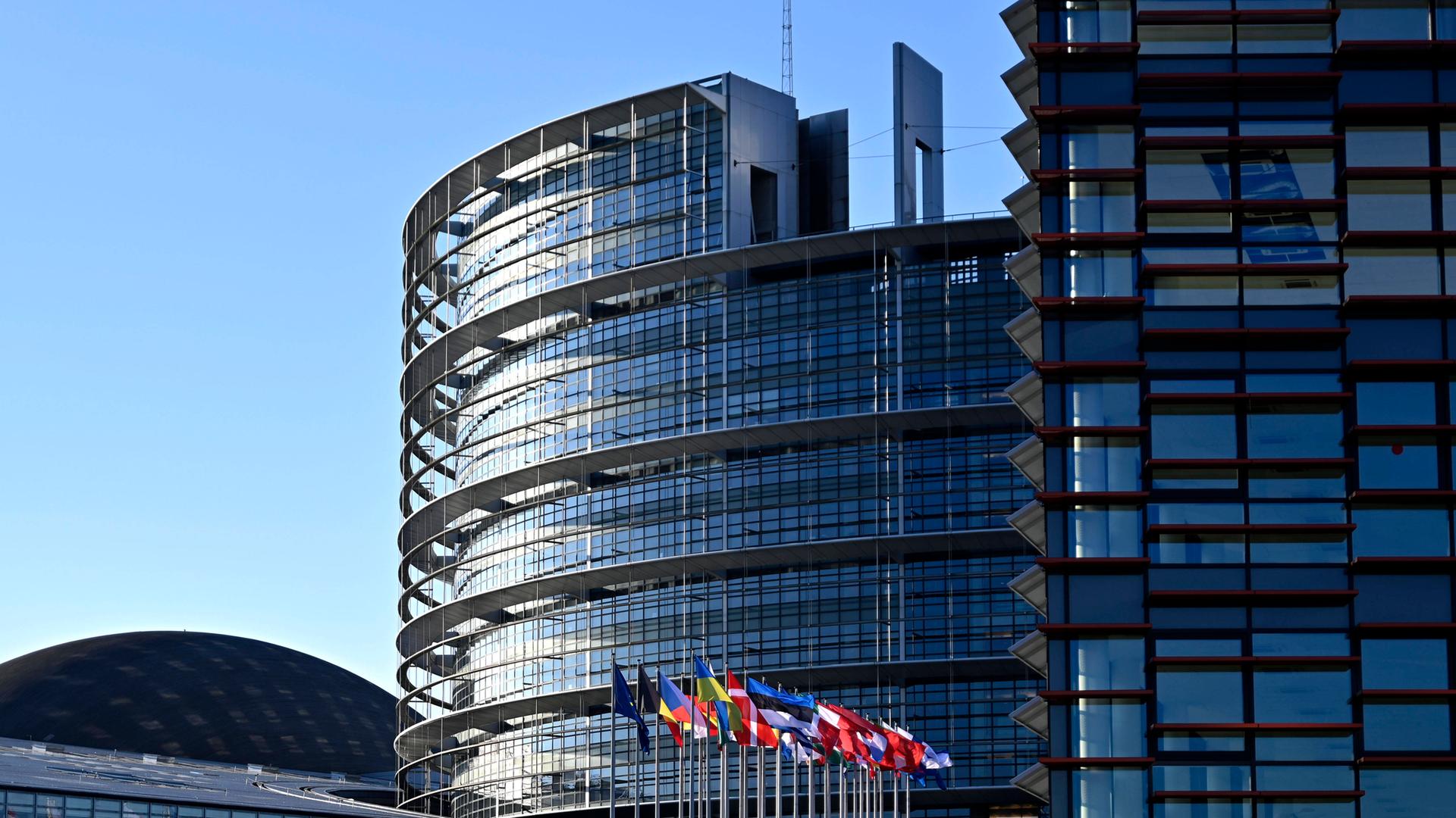 Die Flaggen der EU-Staaten und der Ukraine sowie die EU-Flagge wehen vor dem EU-Parlament in Straßburg.