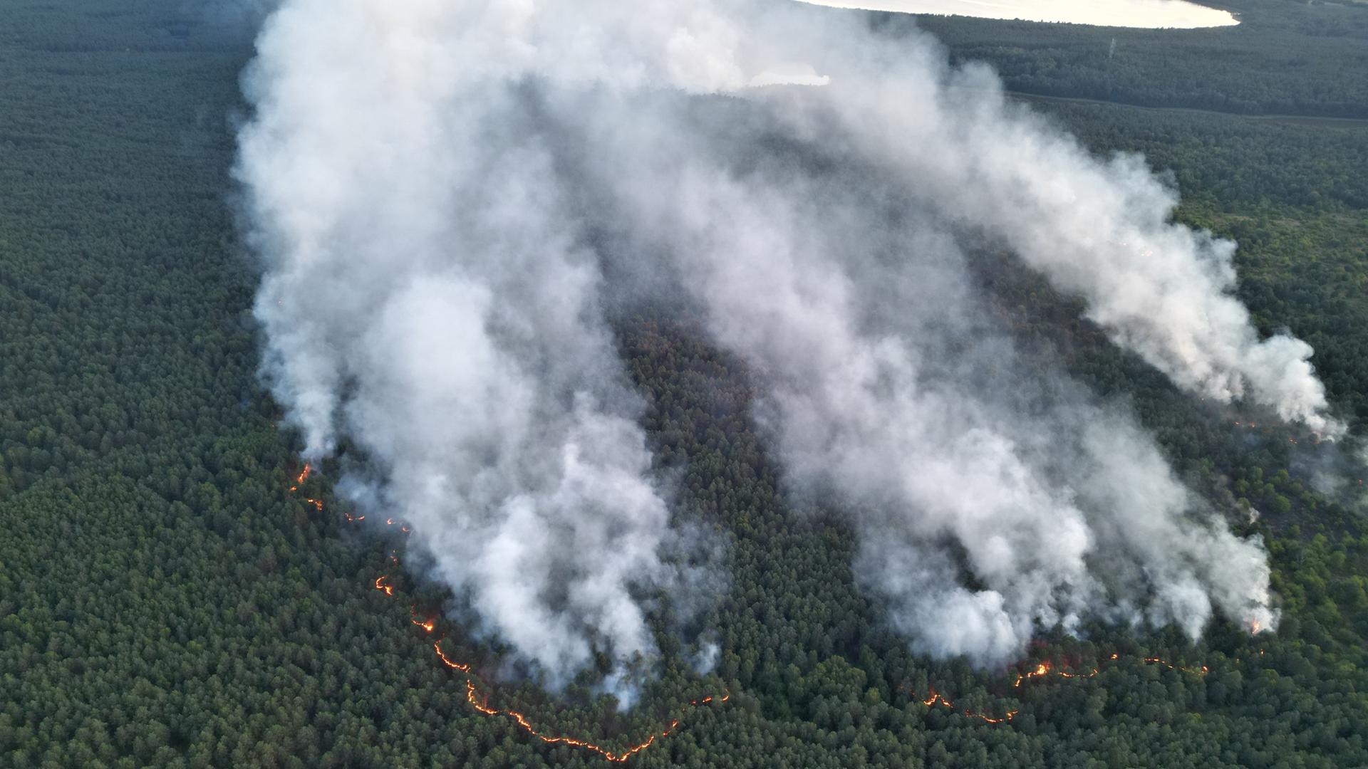 Mecklenburg-Vorpommern, Kratzeburg: Rauchsäulen stehen über einer brennenden Waldfläche. 