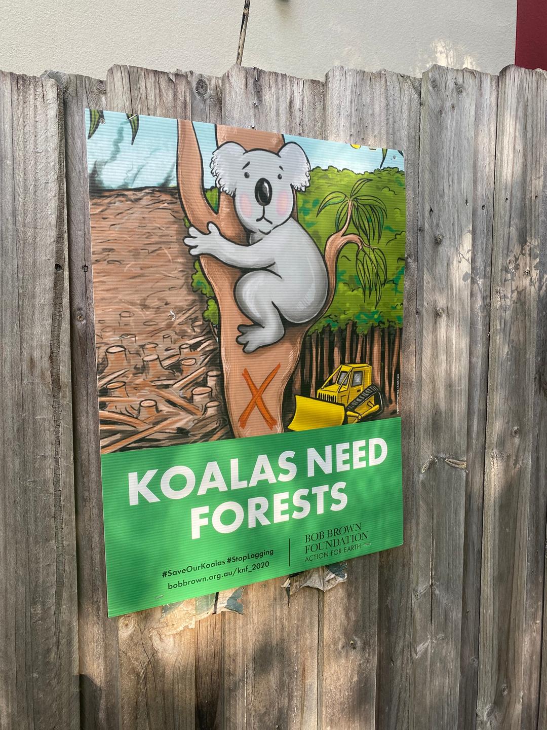 Ein Plakat mit einem sich an einen Baum klammernden Koala hängt an einem Holzzaun.