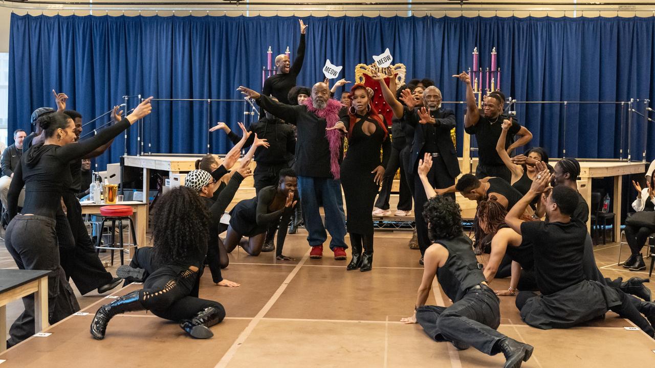 Proben für das Broadway-Musical "Cats: The Jellicle Ball"