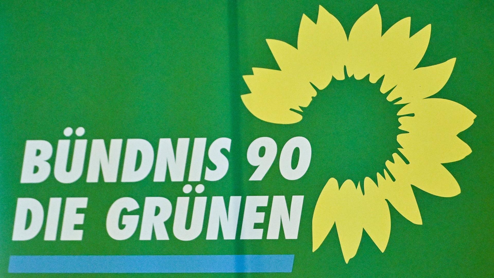 Verluste bei Europawahl - Grüne wollen breitere Wählerschichten ansprechen