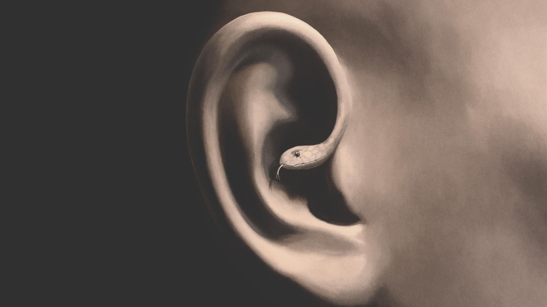 Illustration einer Schlange, die sich um ein Ohr schlängelt (Symbolbild) Illustration einer Schlange, die sich um ein Ohr schlängelt (Symbolbild)
