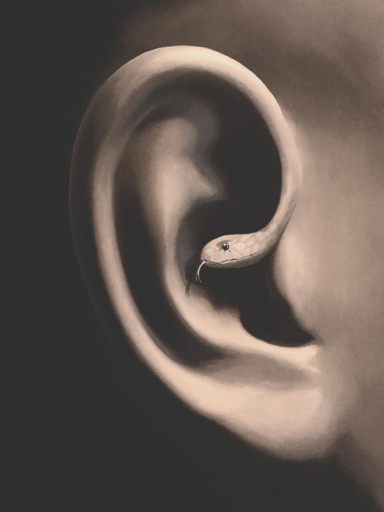 Illustration einer Schlange, die sich um ein Ohr schlängelt (Symbolbild) Illustration einer Schlange, die sich um ein Ohr schlängelt (Symbolbild)