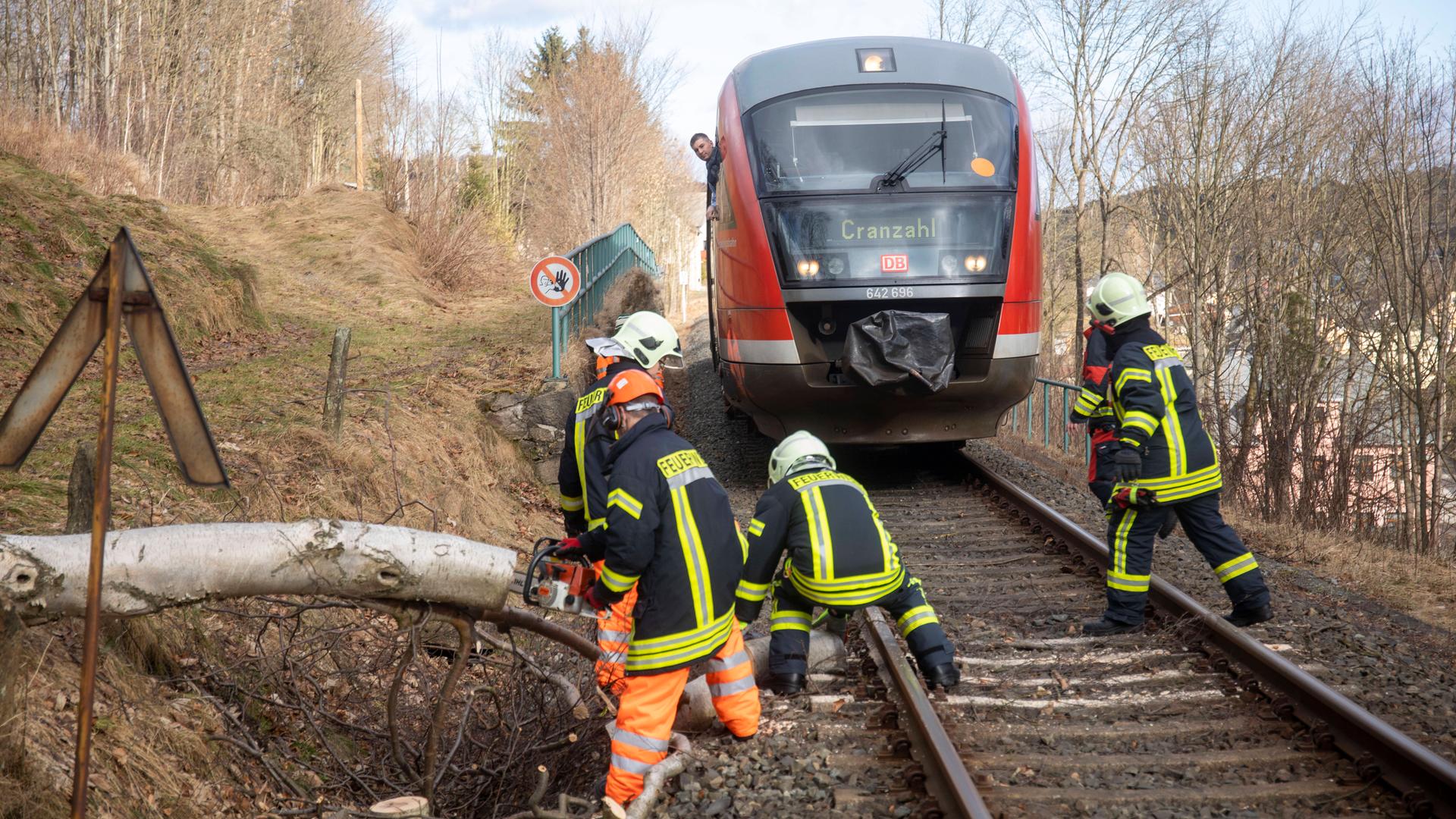 Helfer bringen einen umgestürzten Baum von den Schienen. Im Hinter-Grund steht ein Zug. 