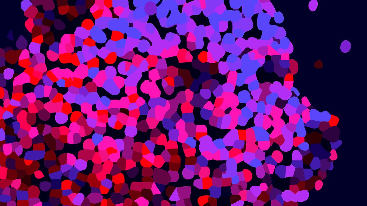 Visual der 76. Berlinale