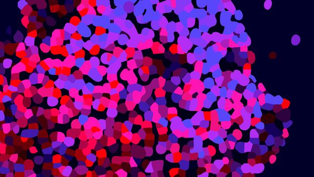 Visual der 76. Berlinale