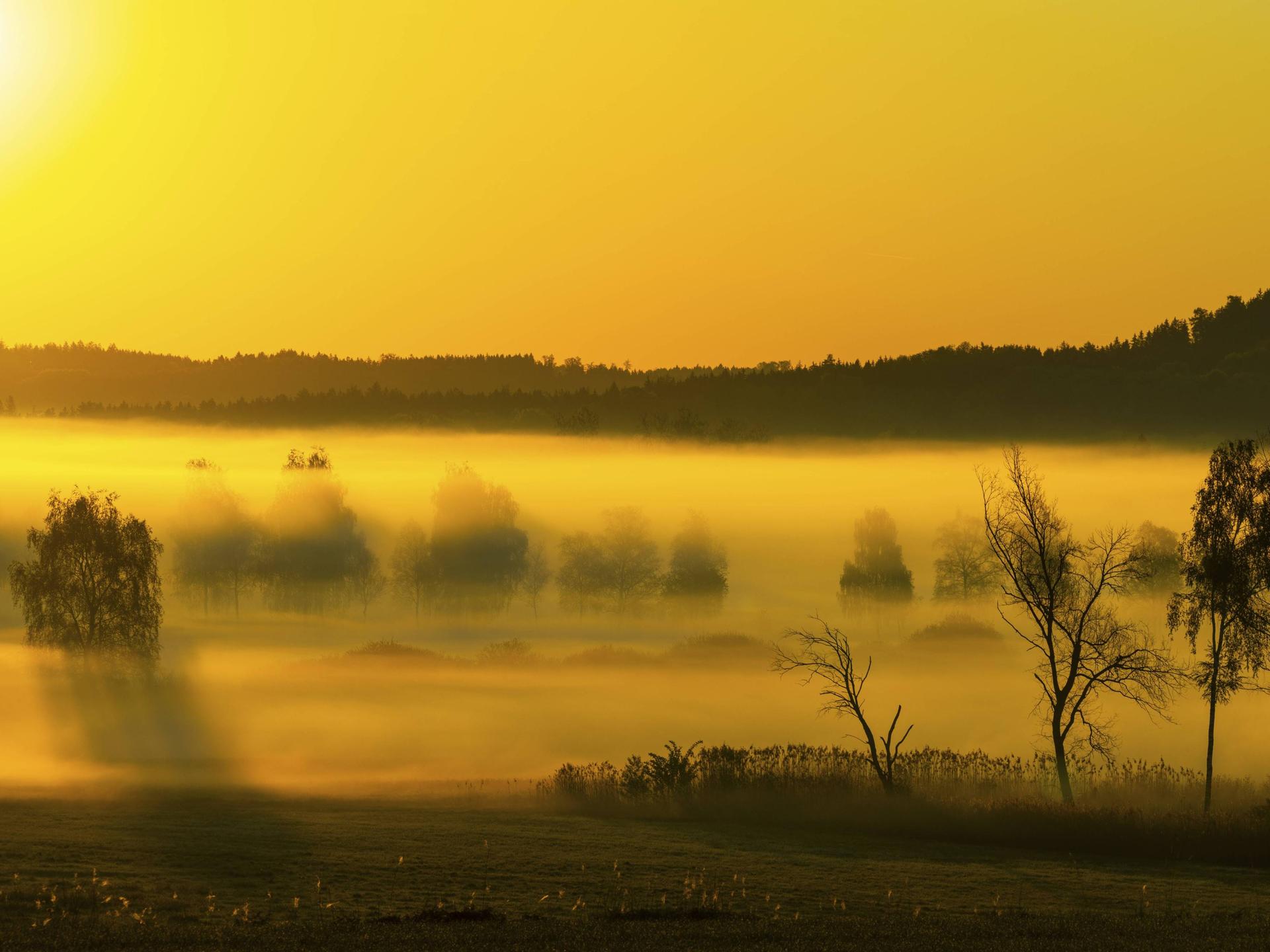 Sonnenaufgang und Frühnebel über dem Moor, Pfrungen, Pfrunger-Burgweiler Ried, Baden-Württemberg.
