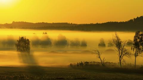 Sonnenaufgang und Frühnebel über dem Moor, Pfrungen, Pfrunger-Burgweiler Ried, Baden-Württemberg.