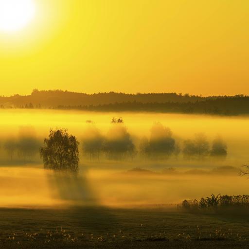Sonnenaufgang und Frühnebel über dem Moor, Pfrungen, Pfrunger-Burgweiler Ried, Baden-Württemberg.