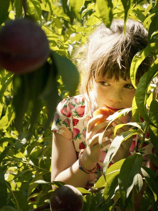 Ein kleines Mädchen sitzt zwischen Baumblättern und hat einen Pfirsich in der Hand.