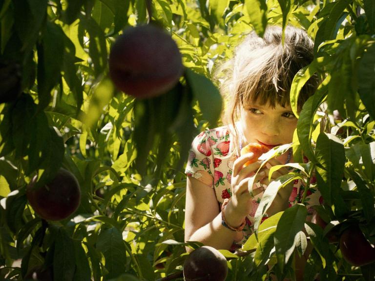Ein kleines Mädchen sitzt zwischen Baumblättern und hat einen Pfirsich in der Hand.