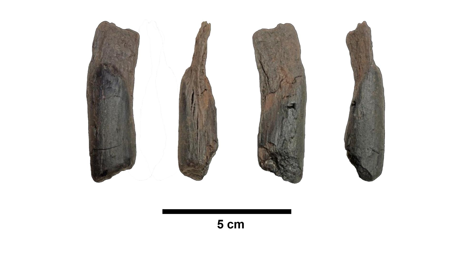 Vier kleine Holzwerkzeuge von jeweils ca. fünf Zentimeter Länge liegen nebeneinander.