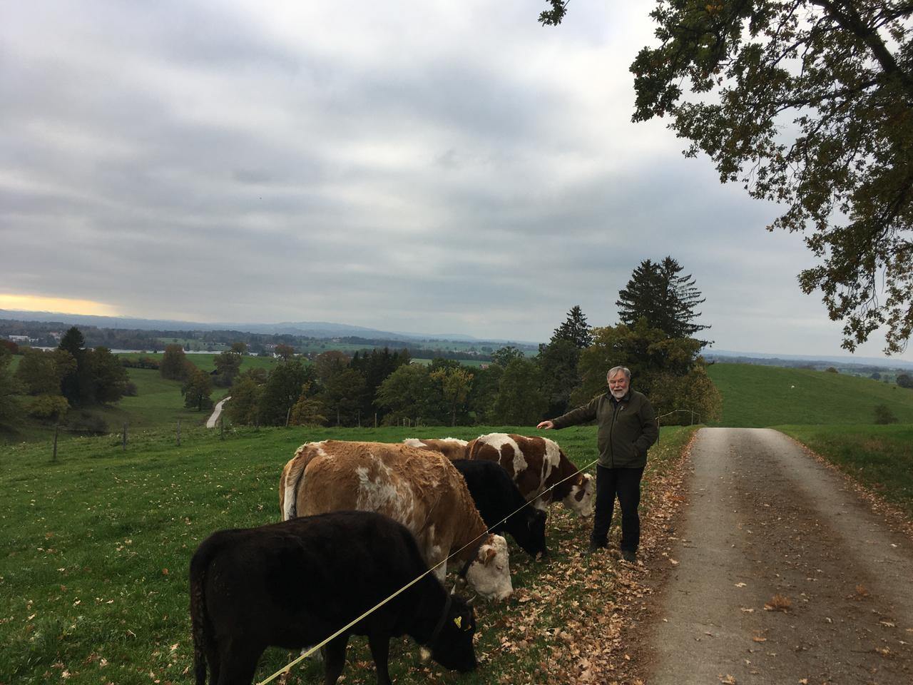 Wolfgang Schröder an einer Weide oberhalb von Murnau. Ein paar Rinder stehen nahe am Zaun.