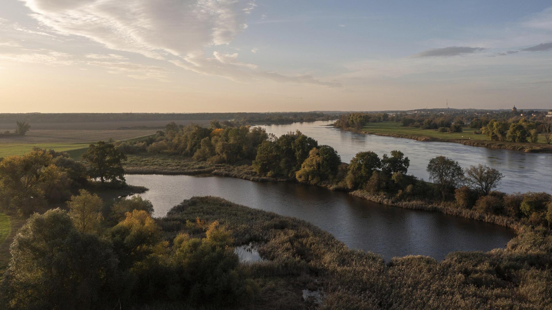 Idyllische Flusslandschaft mit Bäumen und bewölktem Himmel bei Sonnenaufgang, die Alte Elbe bei Magdeburg in Sachsen-Anhalt