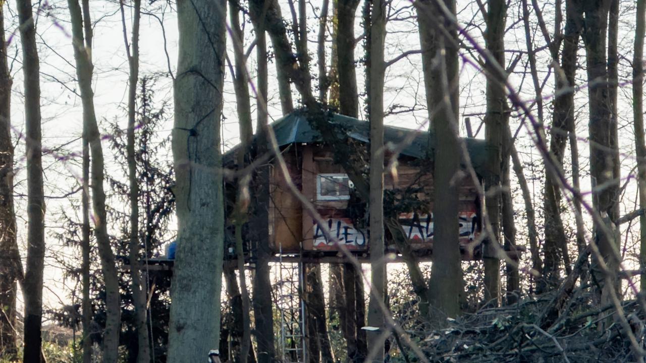 Im Manheimer Sündenwäldchen bei Kerpen ist ein Baumhaus errichtet, das vor der Rodung schützen soll.