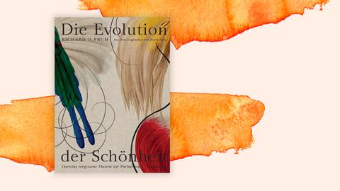 Cover des Buchs "Die Evolution der Schönheit"