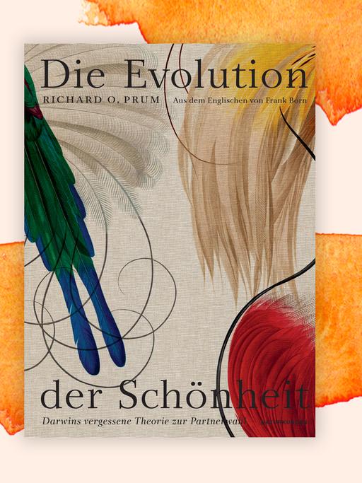 Cover des Buchs "Die Evolution der Schönheit"
