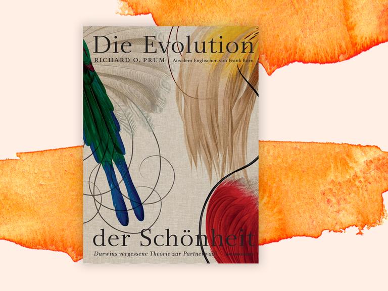 Cover des Buchs "Die Evolution der Schönheit"