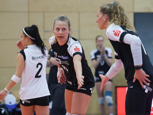 Die Volleyball-Spielerinnen von Schwarz-Weiss Erfurt klatschen sich in der Begegnung gegen den VC Neuwied ab. 