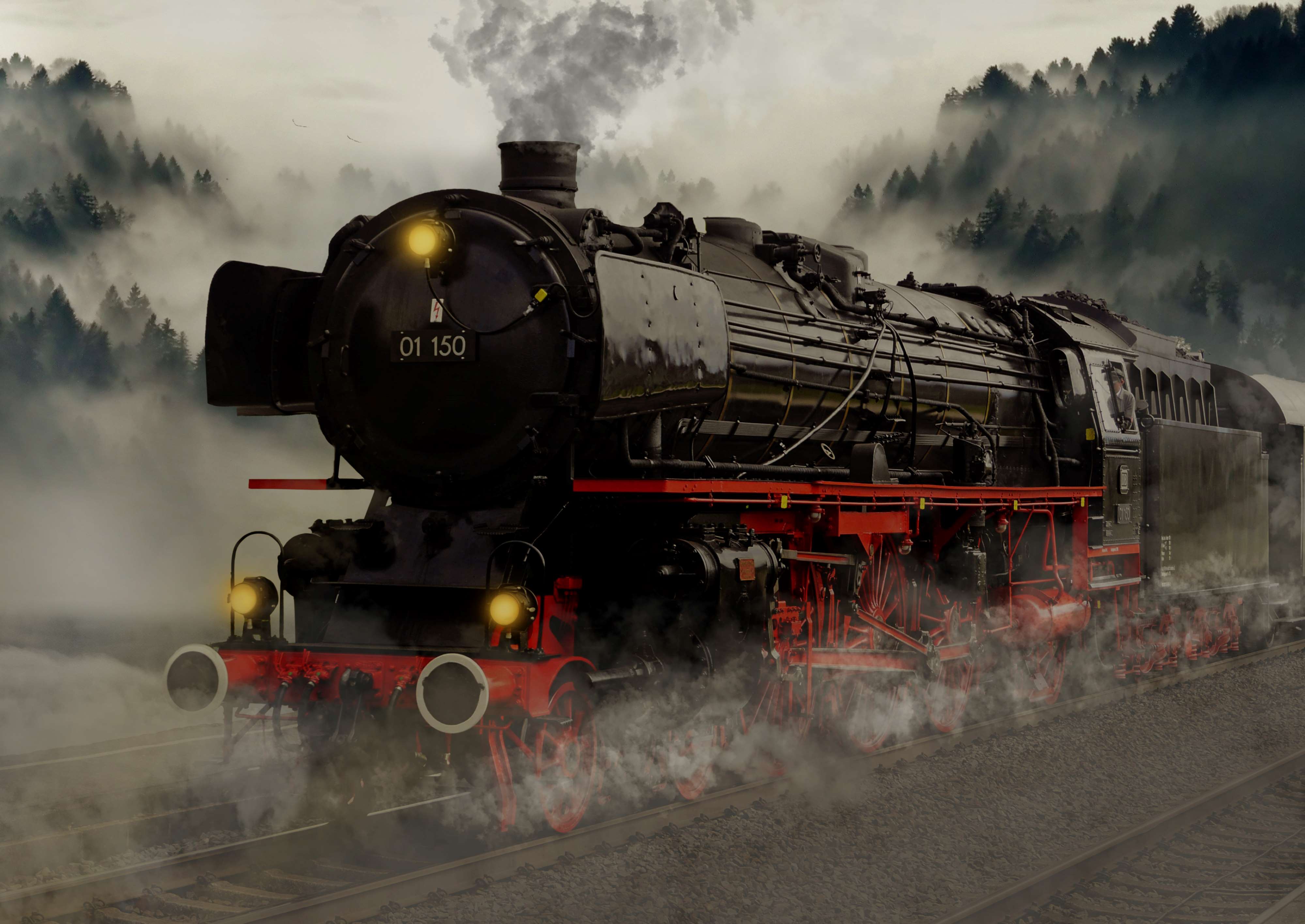 Eine fahrende Dampflokomotive, im Hintergrund Wald.
