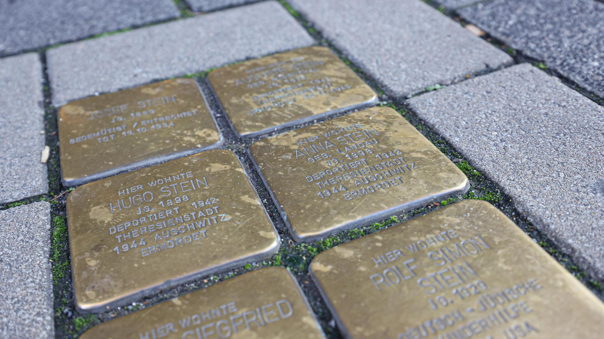Stolpersteine auf einem Gehweg in Köln. Die Stolpersteine befinden sich vor früheren Wohnorten von Opfern des Nationalsozialismus. Stolpersteine am 18.09.2026 in Köln/Deutschland. Stolpersteine auf einem Gehweg in Köln. Die Stolpersteine befinden sich vor früheren Wohnorten von Opfern des Nationalsozialismus. Stolpersteine am 18.09.2026 in Köln/Deutschland.