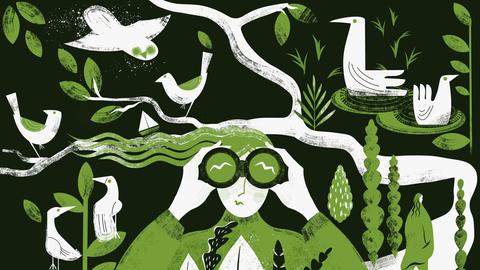 Illustration: Ein Mensch schaut durch ein Fernglas. Drumherum viele verschiedene Vogelarten auf Bäumen und in der Luft.