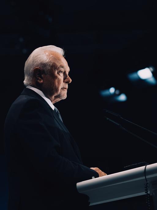 Wolfgang Kubicki steht in einem dunklen Saal an einem Rednerpult und blickt ernst