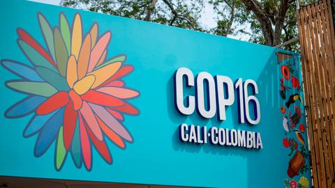 Die COP16 findet im kolumbianischen Cali statt