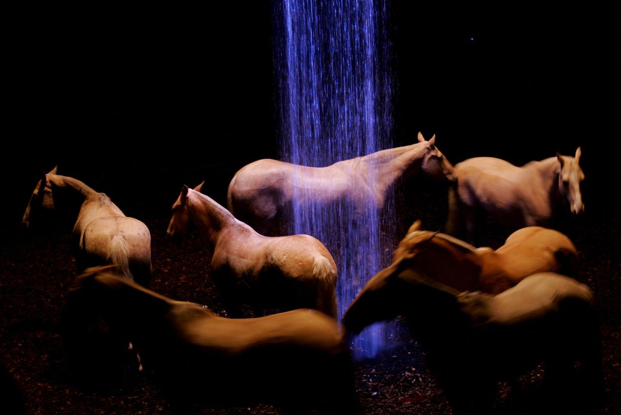 Pferde stehen auf einer Bühne. In ihrer Mitte fällt mit blauem Licht beleuchtetes Wasser von der Decke hinab.