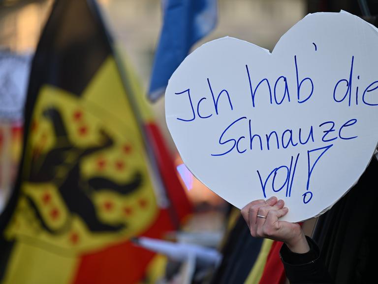 âIch hab die Schnauze vollâ steht auf dem Plakat während einer Kundgebung der AfD am Theaterplatz. In Thüringen finden am 8. Mai 2023 zahlreiche Veranstaltungen zum Tag der Befreiung vom Nationalsozialismus statt.