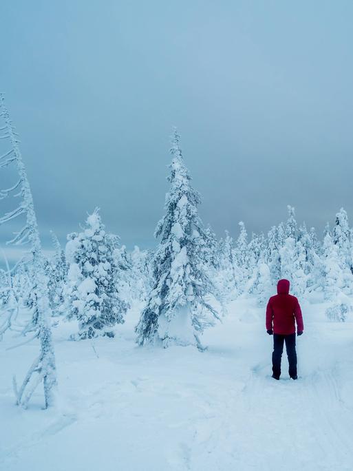 Foto einer schneebedeckten, kargen Landschaft, in der ein Mensch in einer roten Winterjacke und schwarzen Hose gegenüber von Nadelbäumen steht, deren Rücken der Kamera zugewandt ist.