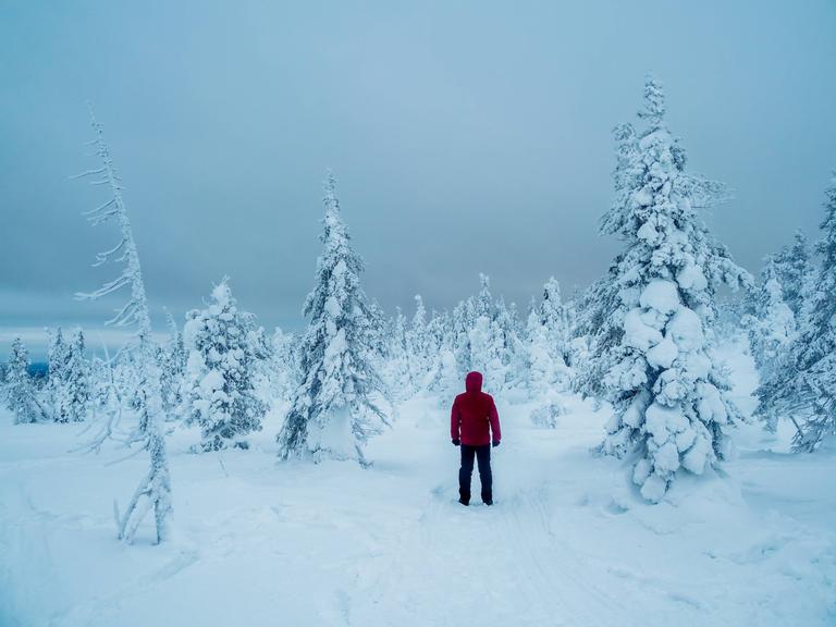 Foto einer schneebedeckten, kargen Landschaft, in der ein Mensch in einer roten Winterjacke und schwarzen Hose gegenüber von Nadelbäumen steht, deren Rücken der Kamera zugewandt ist.