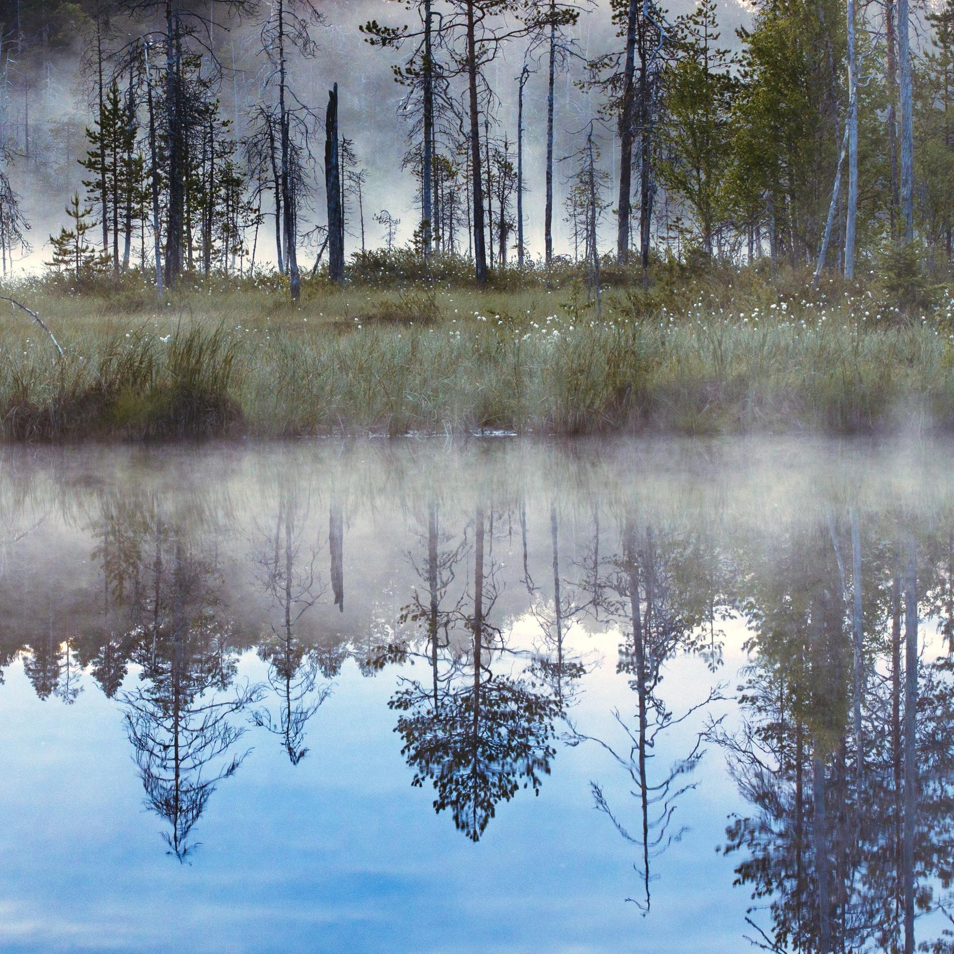 plus null komma fünf windstill - Hörspiel: Über Krieg und Vertreibung in Finnland