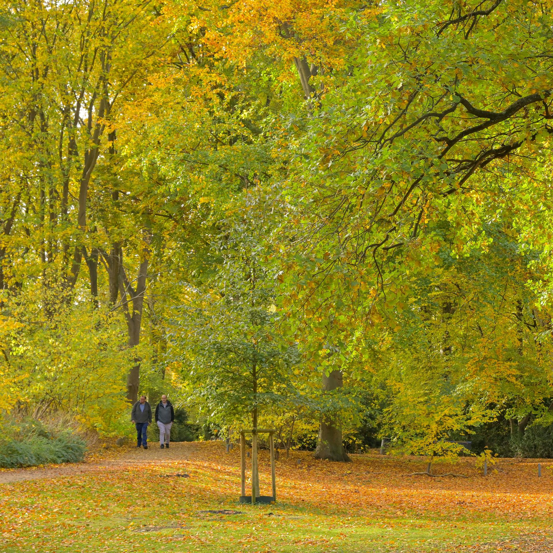Kommunen und Klima – Wie unsere Städte auch in der Klimakrise lebenswert bleiben
