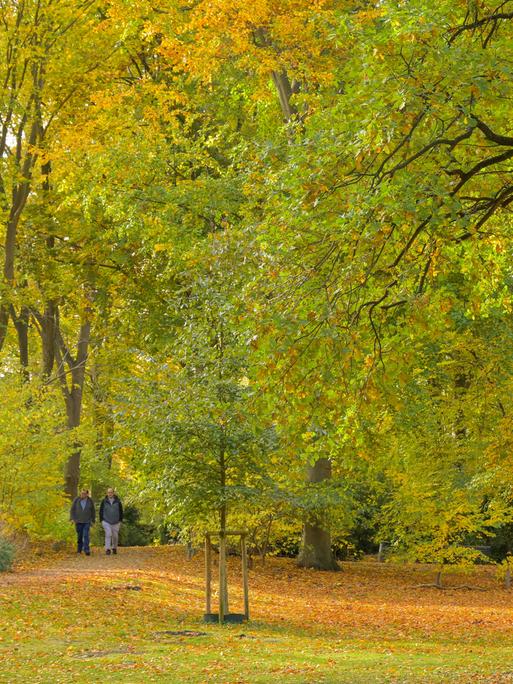 Blick in den herbstlichen Tiergarten Blick in den herbstlichen Tiergarten