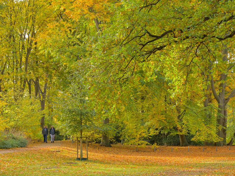 Blick in den herbstlichen Tiergarten Blick in den herbstlichen Tiergarten