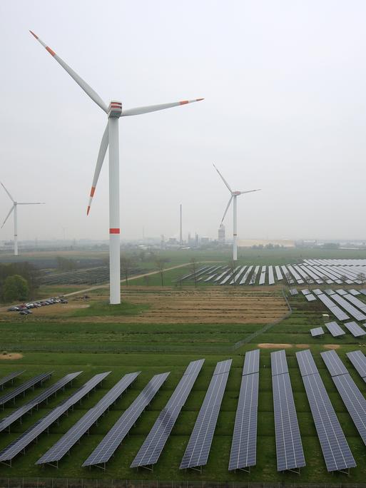 Auf einer früheren Ackerfläche stehen Windräder und diverse Solar-Paneele.