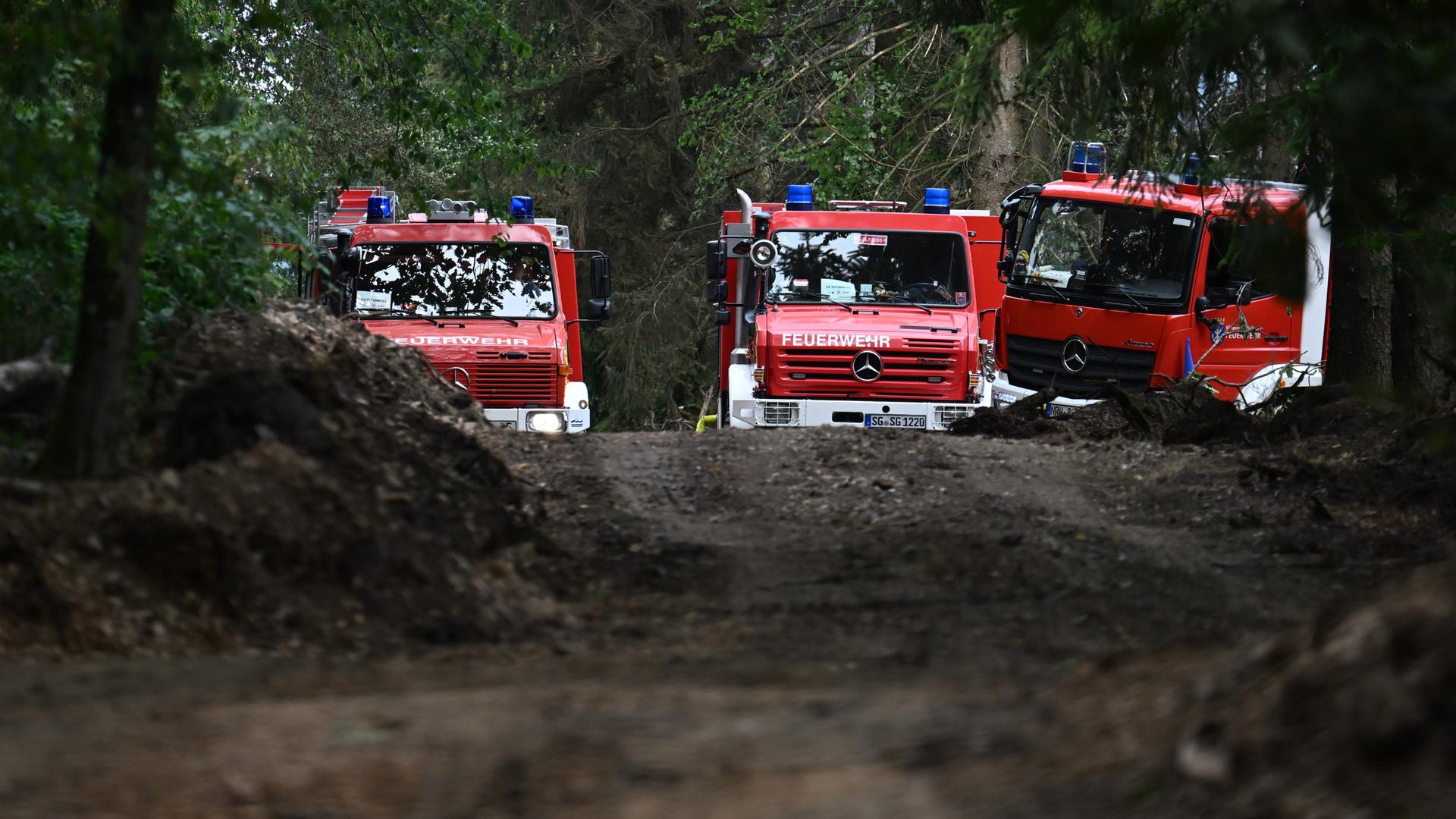 Einsatzfahrzeuge der Feuerwehr auf einem Waldweg Einsatzfahrzeuge der Feuerwehr auf einem Waldweg