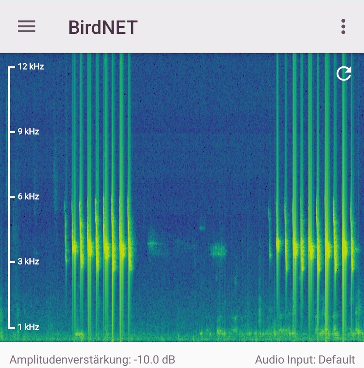 Screenshot eines Spektrogramms aus der BirdNET-App