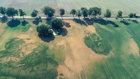 Luftaufnahme mit einer Drohne von einem Feld, die die Trockenheit in der Landwirtschaft zeigt.