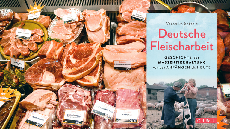 Das Buchcover von Veronika Settele: "Deutsche Fleischarbeit" vor einer prall gefüllten Fleischtheke