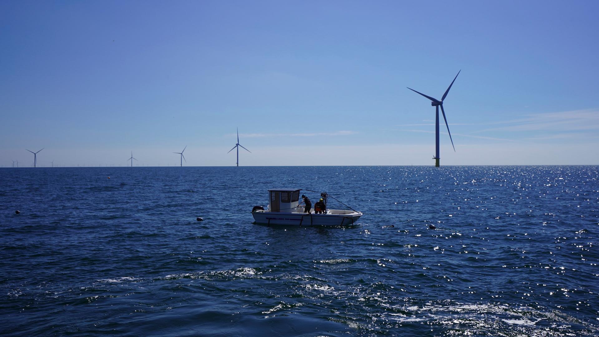 Ein kleines Boot fährt durch einen Windpark in der dänischen Ostsee. Ein kleines Boot fährt durch einen Windpark in der dänischen Ostsee.