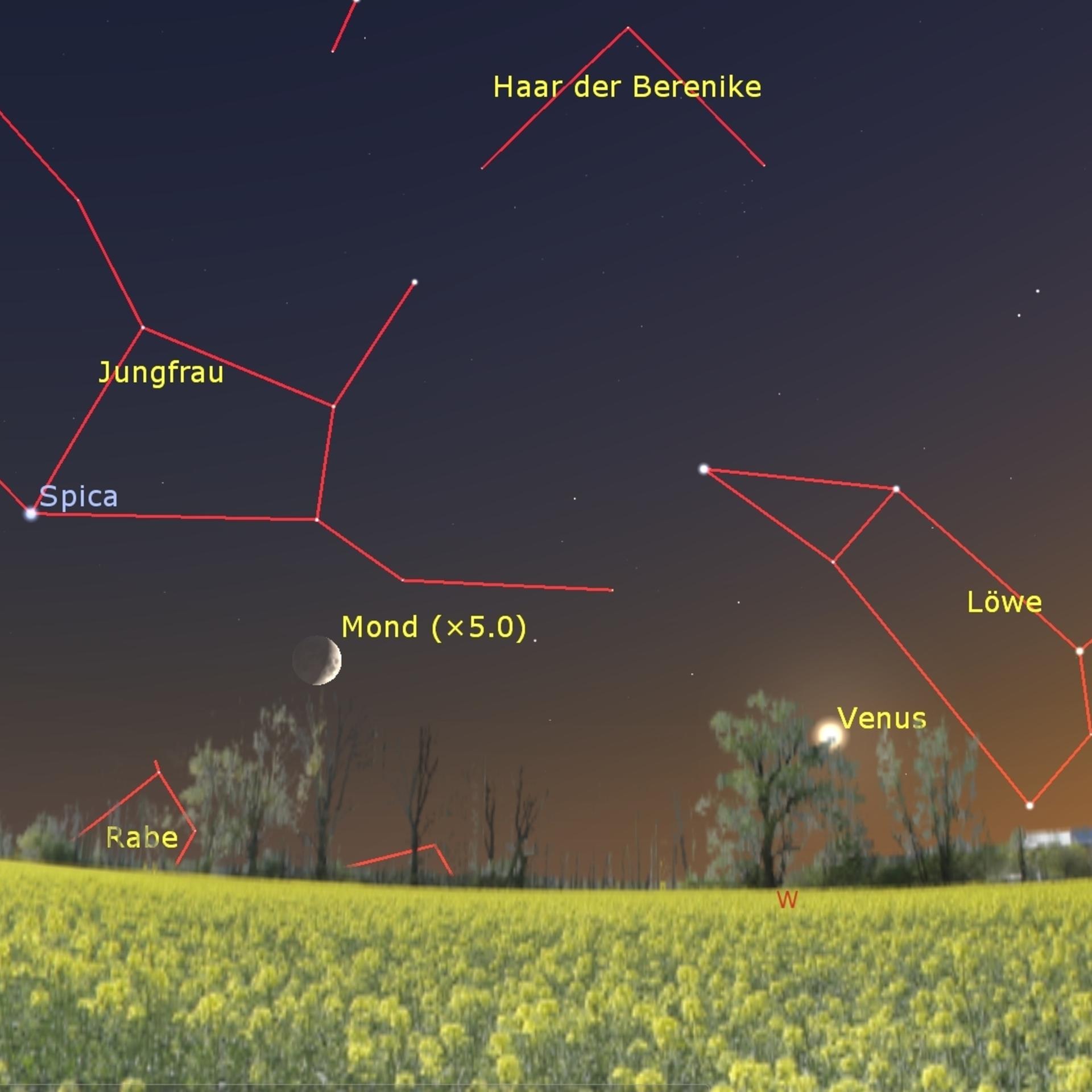 FIFA-Fußball-WM - Endspiel mit Venus, Mond und Antares