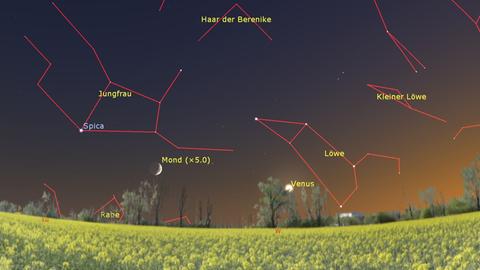 Mondsichel und rechts Nachbarplanet Venus tief am Westhimmel