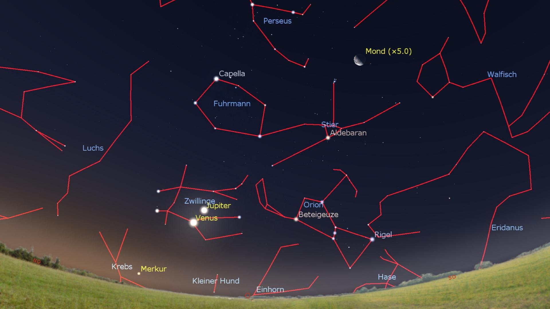 Ein Screenshot aus der App "Stellarium" zeigt den Sternenhimmel im August