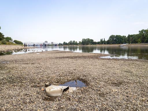 Extremes Niedrigwasser am Rhein in Mannheim und Ludwigshafen. Extremes Niedrigwasser am Rhein in Mannheim und Ludwigshafen.